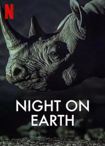 《地球的夜晚》免费在线观看纪录片全集完整版