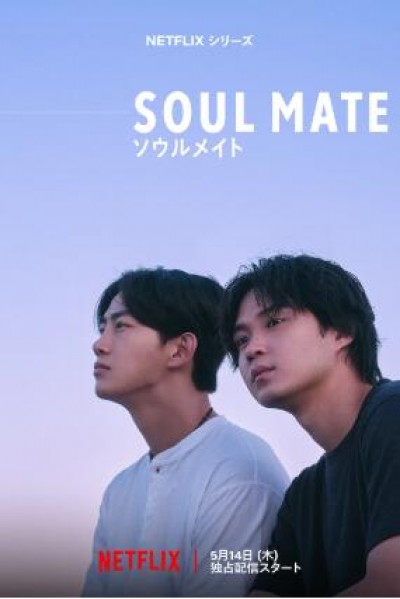 《灵魂之伴》免费在线观看电视剧全集完整版