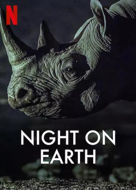 《地球的夜晚》免费在线观看纪录片全集完整版 地球的夜晚纪录片，地球的夜晚免费在线观看，地球的夜晚电视剧全集，地球的夜晚完整版，地球的夜晚夸克资源 第1张